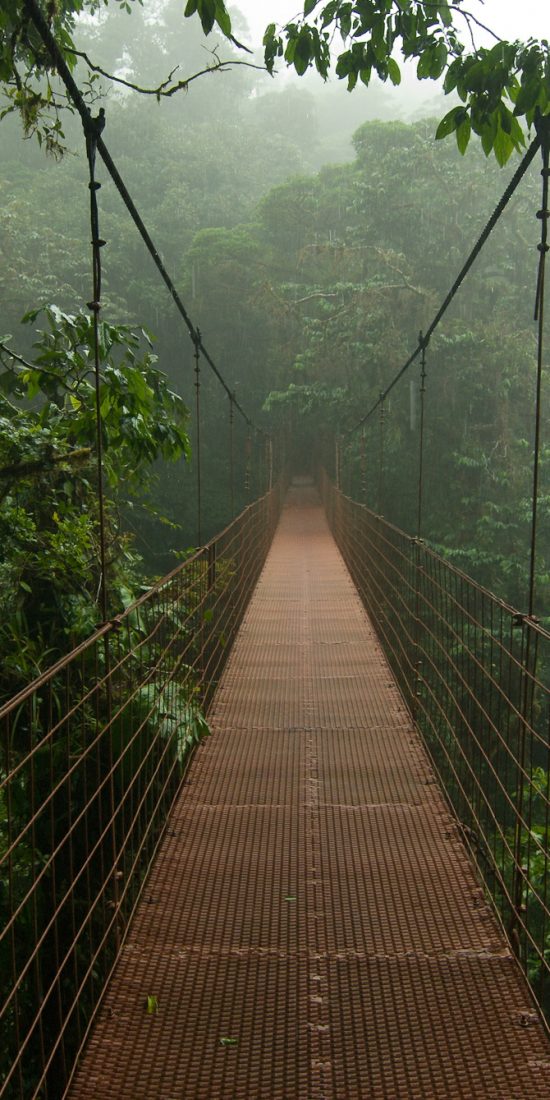 Monteverde Tours - What to do in Monteverde - Native's Way Costa Rica Tours & Transfers