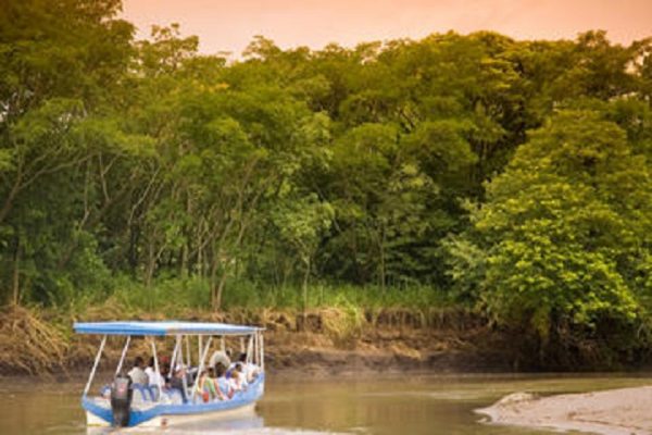 Palo Verde Boat Tour Safari - Native's Way Costa Rica - Tamarindo Tours