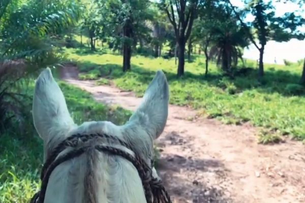 Horseback Riding Guachipelin Volcano Adventure Tour - Rincon de la Vieja Volcano Tours - Native's Way Costa Rica - Tamarindo Tours and Transfers