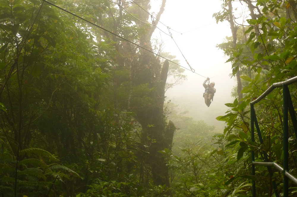 Hanging Bridges - Monteverde Cloud Forest Tour - Native's Way Costa Rica Tours