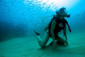 Scuba Diving Catalinas Tour - Native's Way Costa Rica - Tamarindo Tours and Transfers