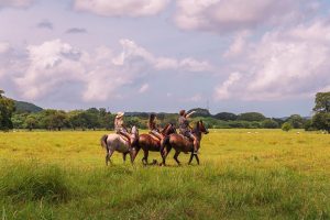 Tamarindo Horseback Riding Tour - Native's Way Costa Rica - Tamarindo Tours