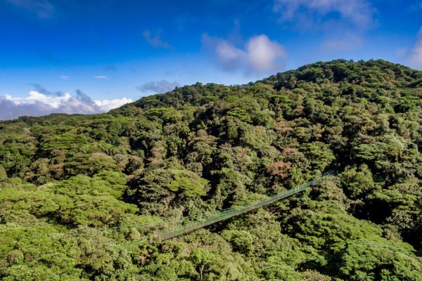Monteverde Hanging Bridges - Native's Way Costa Rica Monteverde Tours