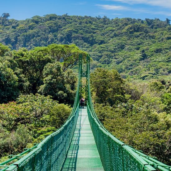 Monteverde Hanging Bridges - Native's Way Costa Rica Monteverde Tours