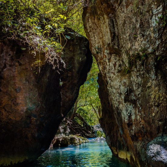 La Leona Waterfall Hike - Native's Way Costa Rica Tours