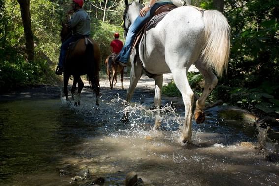 Horseback Riding Buena Vista Adventure Combo Rincon de la Vieja Volcano Tour