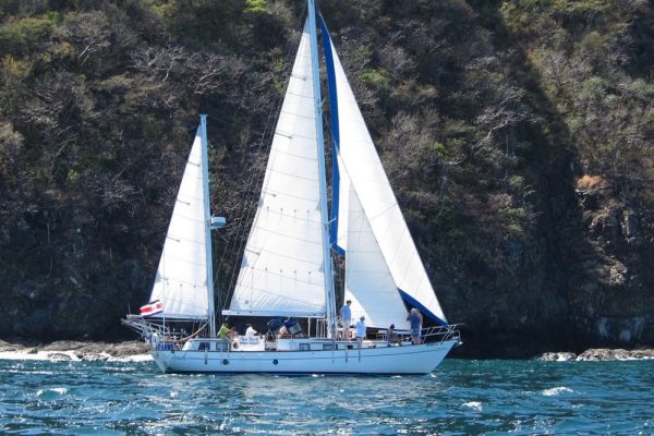 essence yachting private catamaran tours